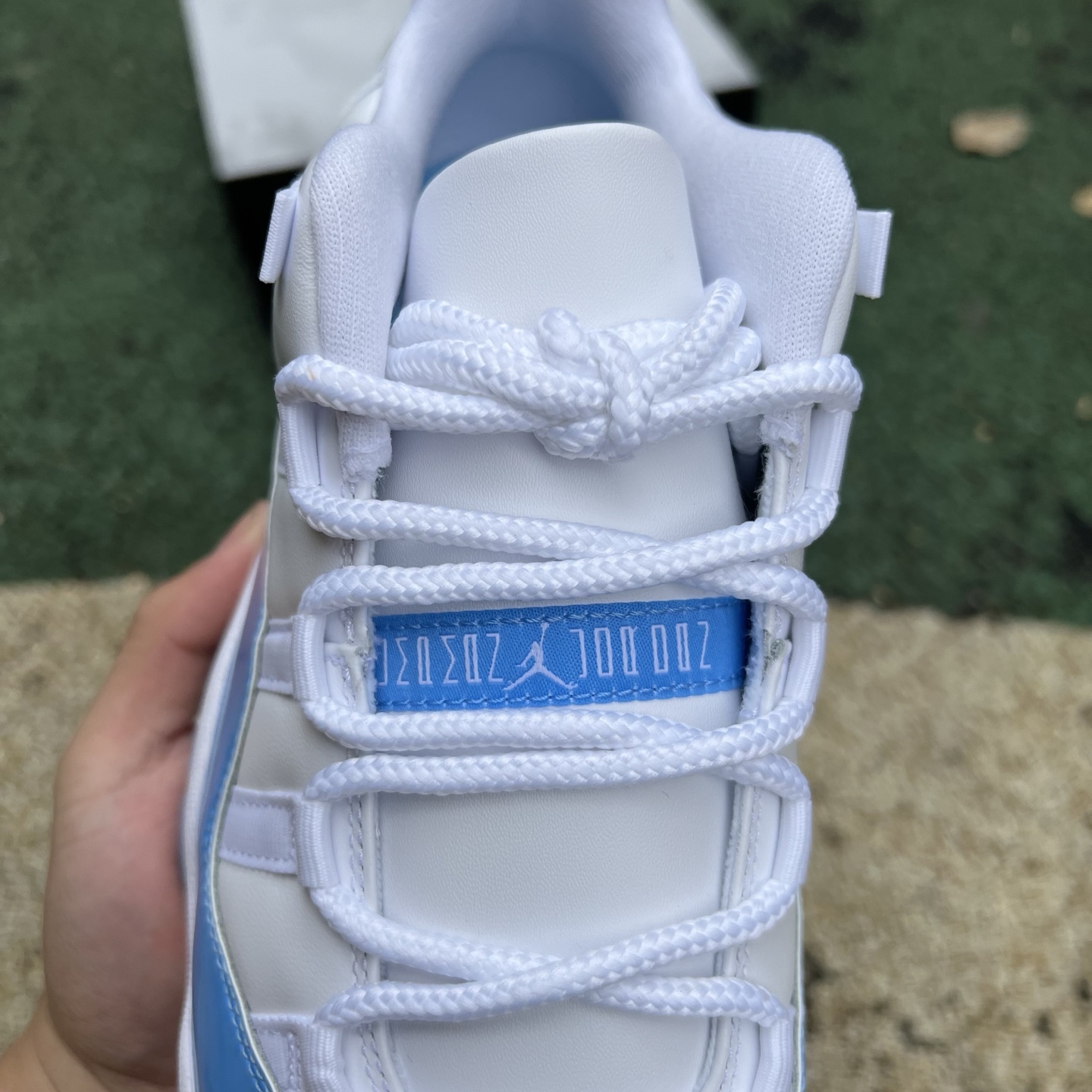 Nike Jordan shoe